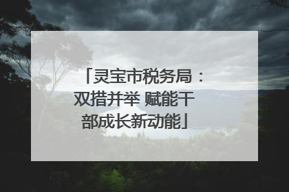 灵宝市税务局：双措并举 赋能干部成长新动能