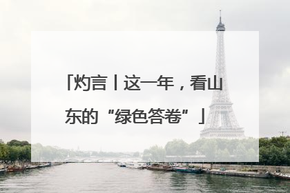 灼言丨这一年，看山东的“绿色答卷”