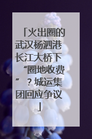 火出圈的武汉杨泗港长江大桥下“圈地收费”？城运集团回应争议