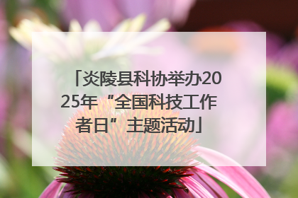 炎陵县科协举办2025年“全国科技工作者日”主题活动