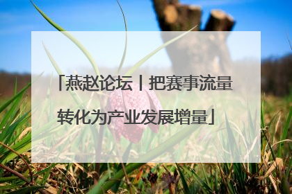 燕赵论坛丨把赛事流量转化为产业发展增量