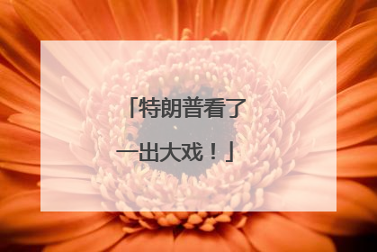 特朗普看了一出大戏！