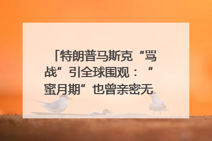 特朗普马斯克“骂战”引全球围观：“蜜月期”也曾亲密无间｜国际观察