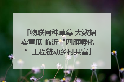 物联网种草莓 大数据卖黄瓜 临沂“四雁孵化”工程链动乡村共富