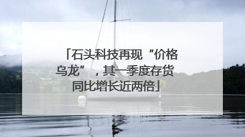 石头科技再现“价格乌龙”，其一季度存货同比增长近两倍