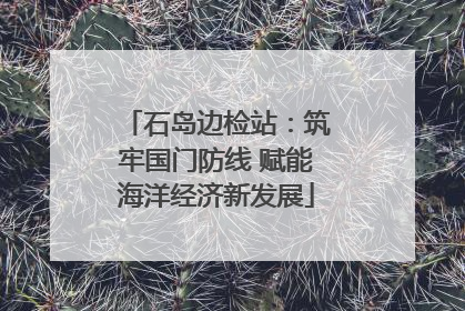 石岛边检站：筑牢国门防线 赋能海洋经济新发展