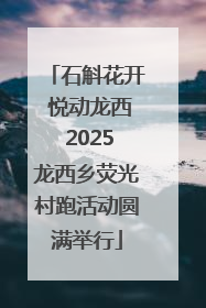石斛花开 悦动龙西 2025龙西乡荧光村跑活动圆满举行