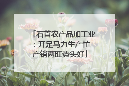 石首农产品加工业：开足马力生产忙 产销两旺势头好
