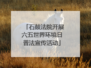 石鼓法院开展六五世界环境日普法宣传活动