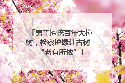 男子擅挖百年大樟树，检察护绿让古树“老有所依”