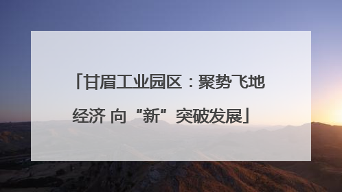 甘眉工业园区：聚势飞地经济 向“新”突破发展