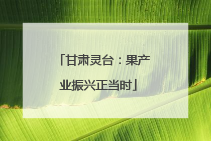 甘肃灵台：果产业振兴正当时