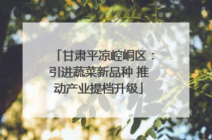 甘肃平凉崆峒区：引进蔬菜新品种 推动产业提档升级