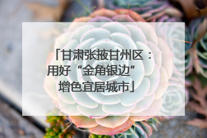 甘肃张掖甘州区：用好“金角银边” 增色宜居城市