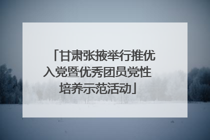 甘肃张掖举行推优入党暨优秀团员党性培养示范活动