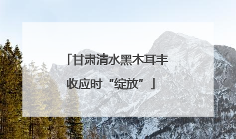 甘肃清水黑木耳丰收应时“绽放”