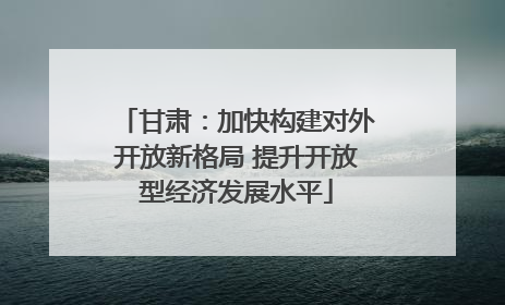 甘肃：加快构建对外开放新格局 提升开放型经济发展水平