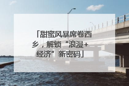 甜蜜风暴席卷西乡，解锁“浪漫+经济”新密码