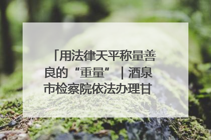 用法律天平称量善良的“重量”｜酒泉市检察院依法办理甘肃首例社区矫正对象见义勇为减刑案