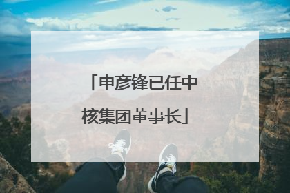 申彦锋已任中核集团董事长