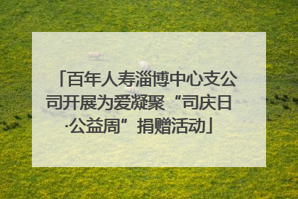 百年人寿淄博中心支公司开展为爱凝聚“司庆日·公益周”捐赠活动