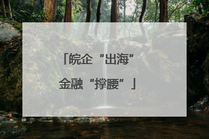 皖企“出海” 金融“撑腰”