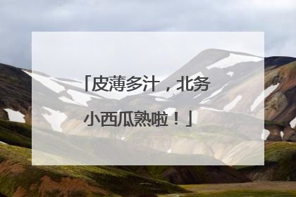 皮薄多汁，北务小西瓜熟啦！
