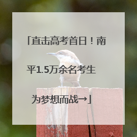 直击高考首日！南平1.5万余名考生为梦想而战→