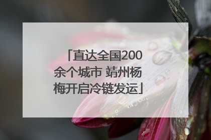 直达全国200余个城市 靖州杨梅开启冷链发运