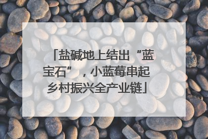 盐碱地上结出“蓝宝石”，小蓝莓串起乡村振兴全产业链