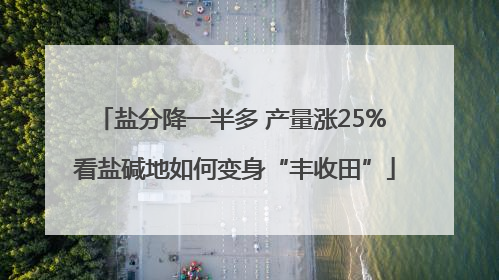 盐分降一半多 产量涨25% 看盐碱地如何变身“丰收田”