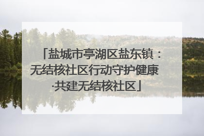 盐城市亭湖区盐东镇：无结核社区行动守护健康 ·共建无结核社区
