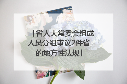 省人大常委会组成人员分组审议2件省的地方性法规