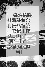 省农信联社派驻鱼台县唐马镇第一书记工作队助力“三夏”生产 彰显为民担当