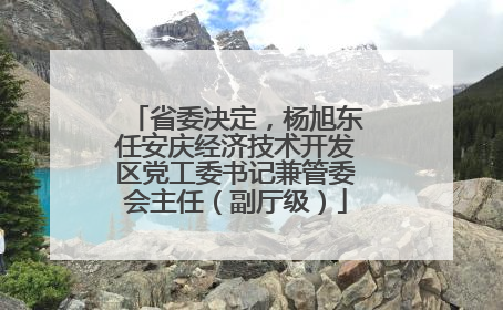 省委决定，杨旭东任安庆经济技术开发区党工委书记兼管委会主任（副厅级）