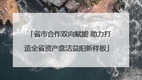 省市合作双向赋能 助力打造全省资产盘活益阳新样板