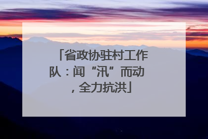 省政协驻村工作队：闻“汛”而动，全力抗洪