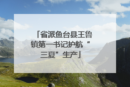 省派鱼台县王鲁镇第一书记护航“三夏”生产