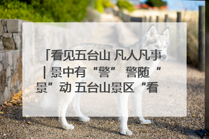 看见五台山 凡人凡事｜景中有“警” 警随“景”动 五台山景区“看得见”的平安守护