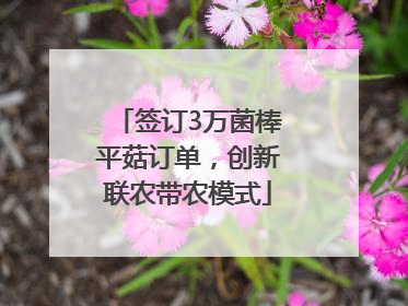 签订3万菌棒平菇订单，创新联农带农模式