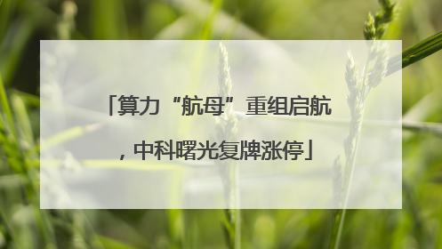 算力“航母”重组启航，中科曙光复牌涨停