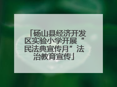砀山县经济开发区实验小学开展“民法典宣传月”法治教育宣传