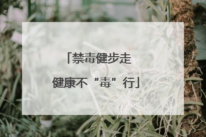 禁毒健步走  健康不“毒”行