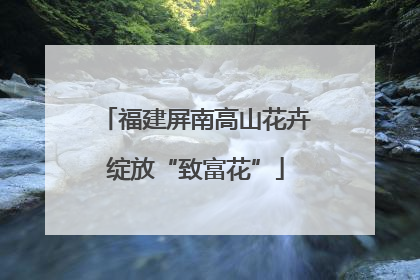 福建屏南高山花卉绽放“致富花”