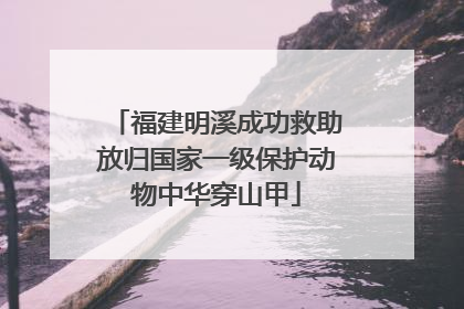 福建明溪成功救助放归国家一级保护动物中华穿山甲