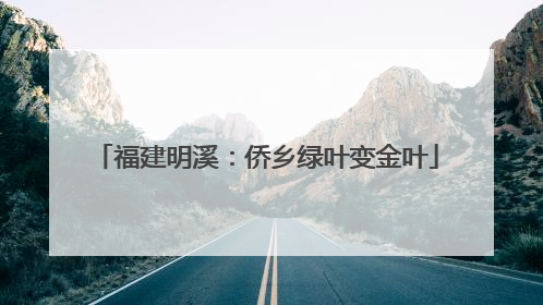 福建明溪：侨乡绿叶变金叶