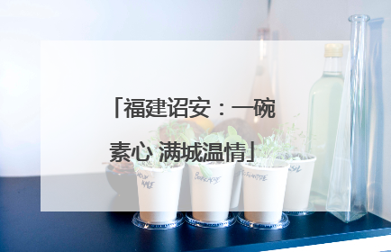 福建诏安：一碗素心 满城温情