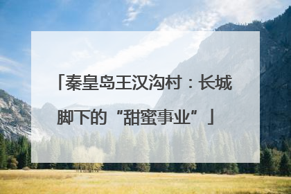 秦皇岛王汉沟村：长城脚下的“甜蜜事业”