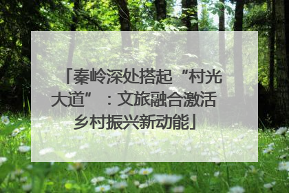 秦岭深处搭起“村光大道”：文旅融合激活乡村振兴新动能