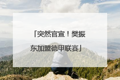 突然官宣！樊振东加盟德甲联赛